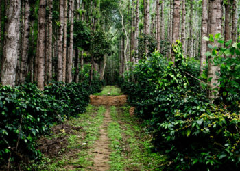 Tribal Complex in Kochi draws huge response from co-ops