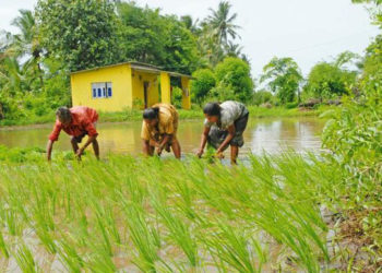 Loan waiver: DCCBs & PACS tide over fund crunch