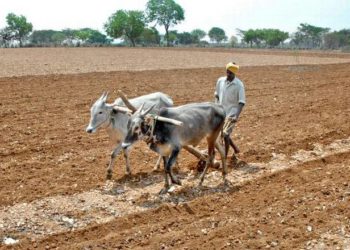 Mysuru co-ops are harassing us: Farmers