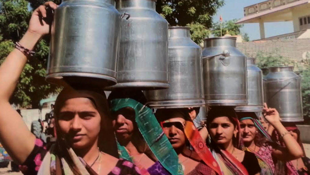 GCMMF lauds special focus on Animal Husbandry, Dairying and Fisheries