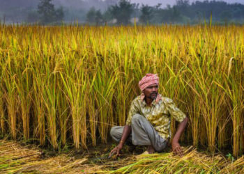 Who is eligible for PM Kisan; govt spells out