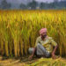 Who is eligible for PM Kisan; govt spells out