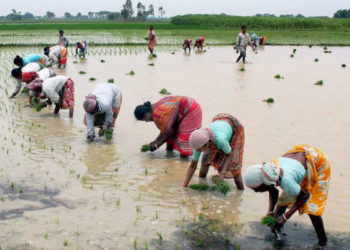 Bhandara District Central Coop Bank serves farmers well