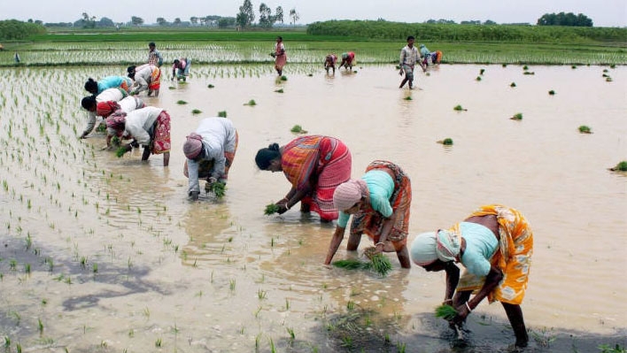 Bhandara District Central Coop Bank serves farmers well