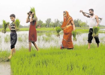 Modi govt offers pension coverage to crores of farmers