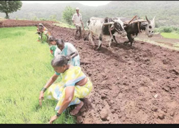 Agri related info in 22 local languages: Minister