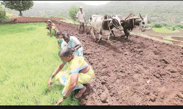 Agri related info in 22 local languages: Minister