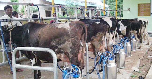 RECP Negotiations: Future of 10 crore desi dairy farmers at stake