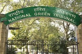 NGT urges Meghalaya to form cooperatives