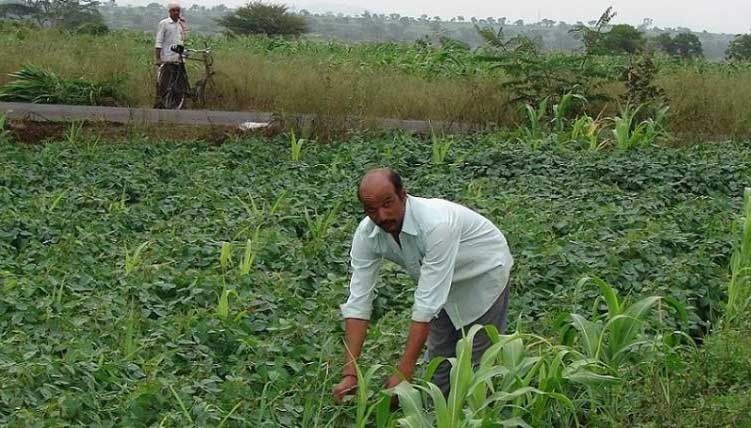 Portal to lend push to organic farming launched