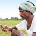 IFFCO Kisan launches Advisory Services this Monsoon