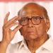 Taking on big fish: Sharad Pawar also named in MSCB scam