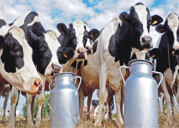 Sri Lanka evolves a National Cooperative Policy