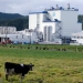 Fonterra considers job cuts as it braces for loss