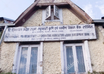Himachal co-op banks stare at huge NPAs-media reports