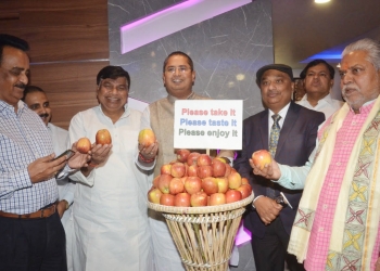 Playing national role: Biscomaun sells Kashmiri apples