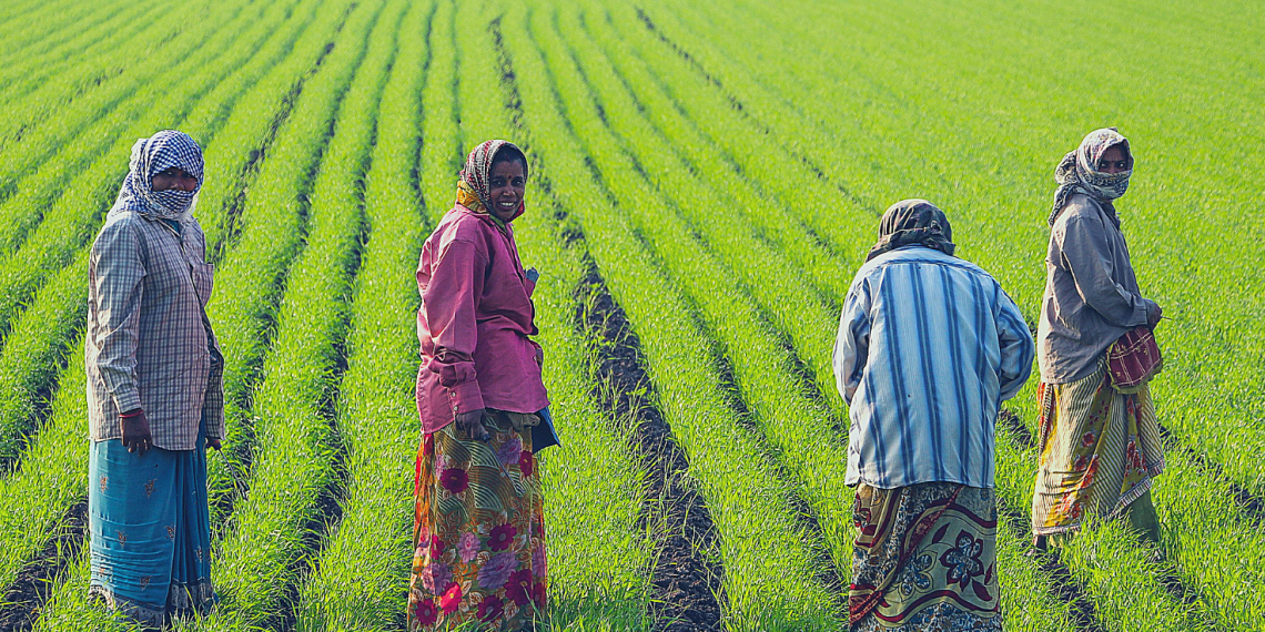 Better implementation: Centre making data base of farmers
