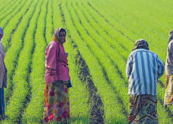 Better implementation: Centre making data base of farmers