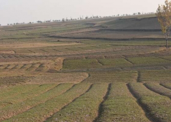 Co-ops grabbing 600 acres of land in UP?