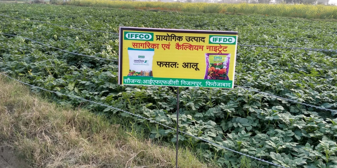 IFFCO helps convert Firozabad into a potato major district