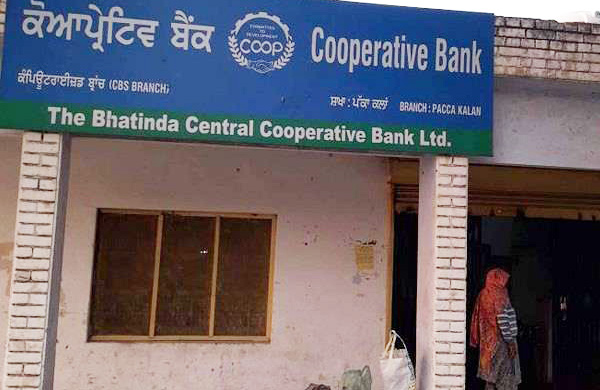 Minister's son elected Chairman of Bhatinda DCCB | Indian Cooperative