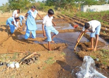 Youth and Agriculture: Need to stop agro brain drain