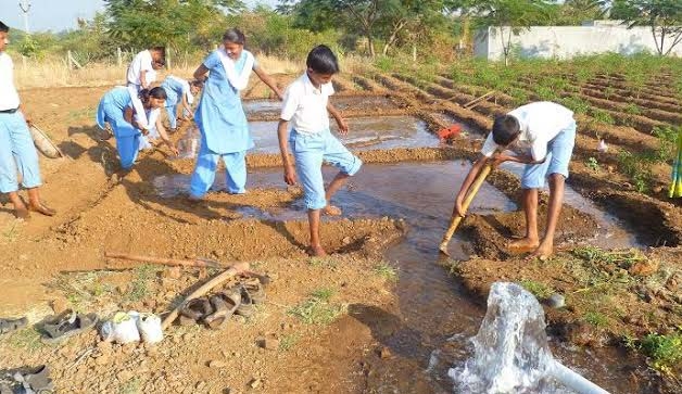 Youth and Agriculture: Need to stop agro brain drain