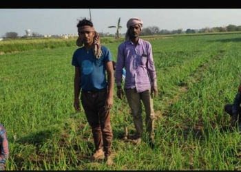 Dairy farmers unware of govt schemes