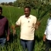 IFFCO’s Nano-use makes a Warangal farmer go ecstatic with results
