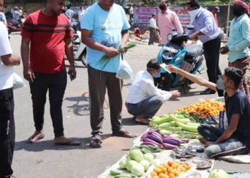 TN co-ops to offer farm-fresh vegetables