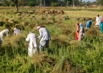 Farming must go on: Lockdown relaxations & video-conf mooted