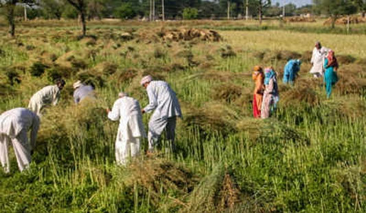 Farming must go on: Lockdown relaxations & video-conf mooted