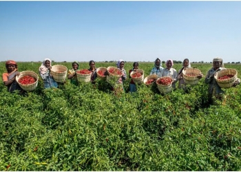 IFFCO Kisan’s Pride: Swarnahar ‘foundation of healthy life’