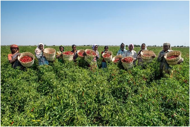 IFFCO Kisan’s Pride: Swarnahar ‘foundation of healthy life’