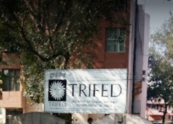 TRIFED bid to procure Minor Forest Produces at MSP