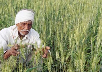Indore DCCB fails to give loans; farmers complain