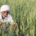 Indore DCCB fails to give loans; farmers complain