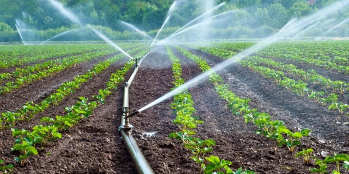 Govt releases micro irrigation funds to states