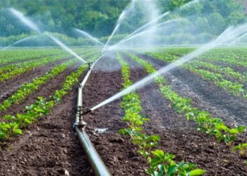 Govt releases micro irrigation funds to states