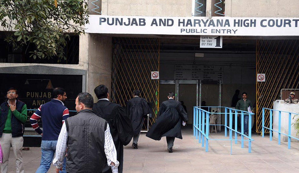 Punjab: HC reprimands Sangrur RoC