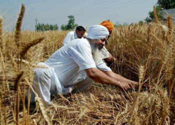 PACS to give loans to farmers in Punjab