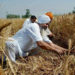 PACS to give loans to farmers in Punjab