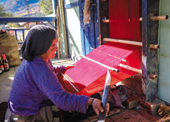 Arunachal Minister attends co-op meeting