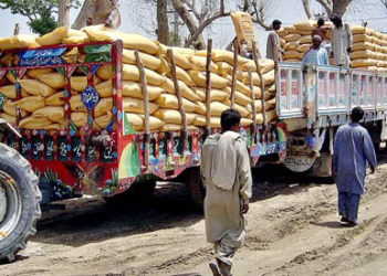 Black marketing of urea in UP; DM conducts raids