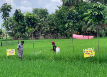 Bihar’s farmers no less excited with Nano: IFFCO