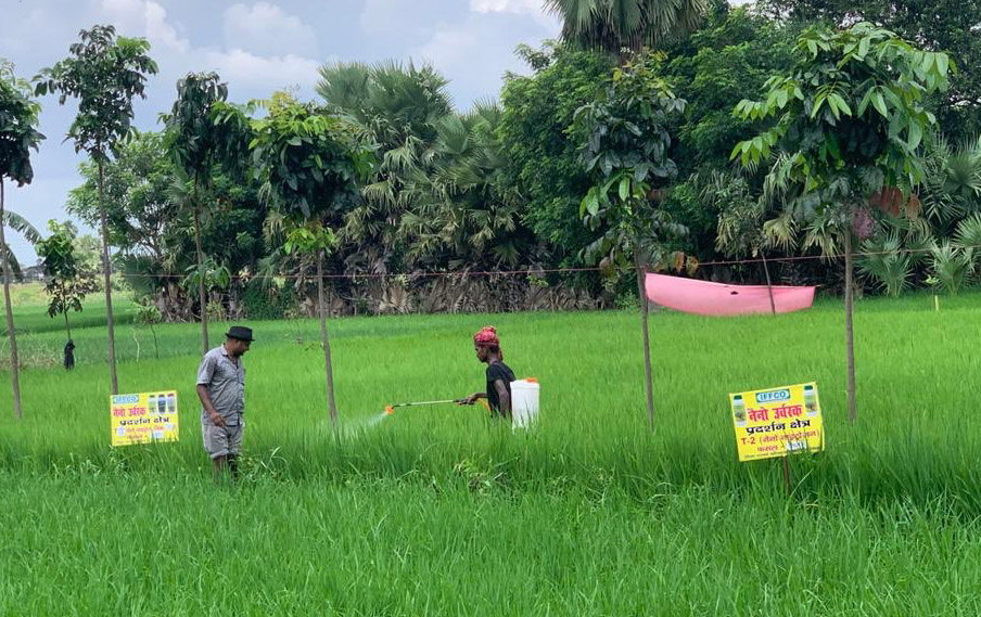 Bihar’s farmers no less excited with Nano: IFFCO