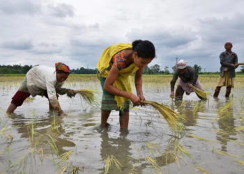 Co-op giants-IFFCO & Kribhco welcome hike in MSPs