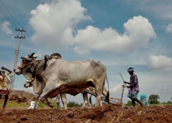 Despite Farm Bills, procurement continues unabated!