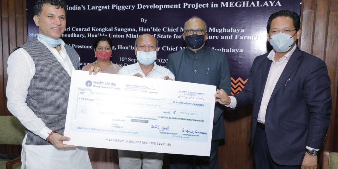 NCDC helps Meghalaya launch India’s largest Piggery Mission