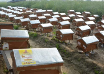 Sodhi promises to participate in Sweet Revolution